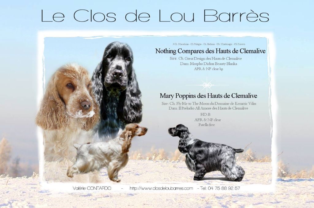 Du Clos De Lou Barres - Saillie !